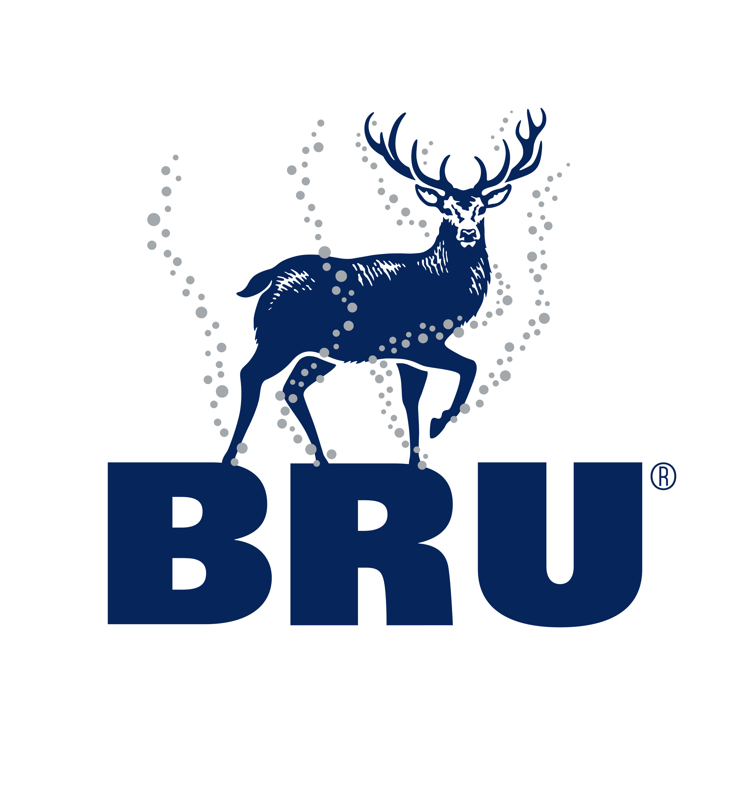 Primary-BRU-logo-RGB-300dpi